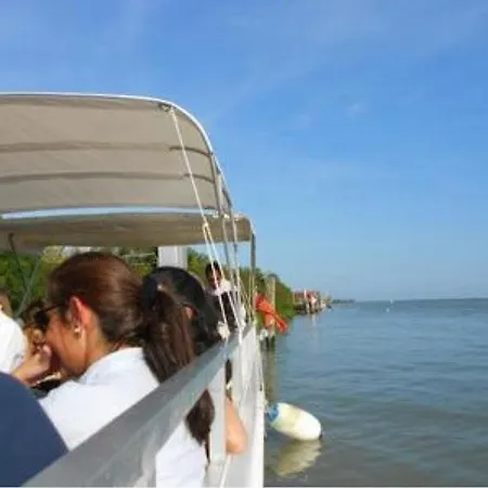 アパート Beta ロゾリーナ・マーレ