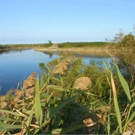 Beta ロゾリーナ・マーレ