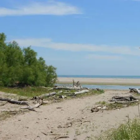 Beta * ロゾリーナ・マーレ