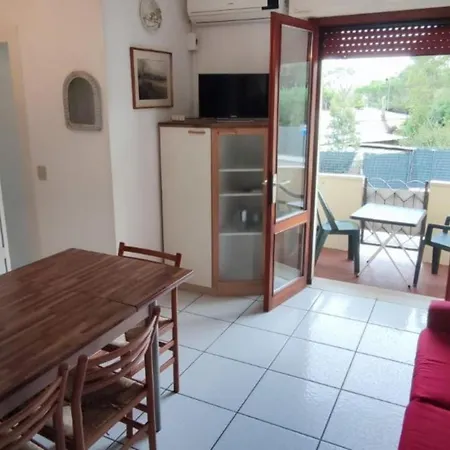 Apartment Beta