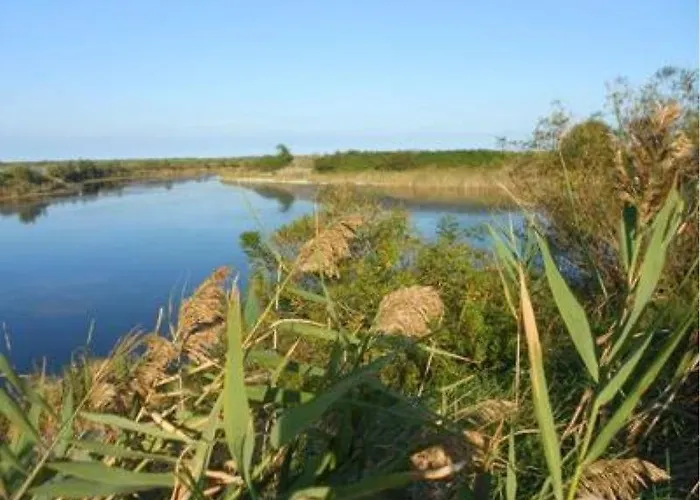 Beta 罗索利纳马雷